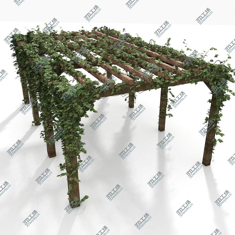 images/goods_img/2021040232/Wooden Pergola With Ivy Plant/2.jpg